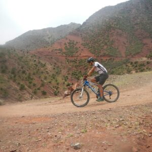 Biking day trip Atlas Mountains - Mountain Bike Tours Morocco