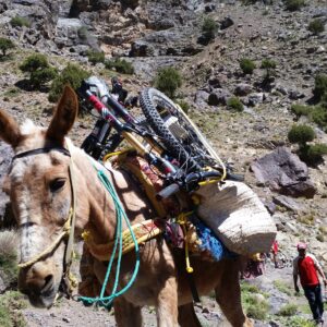 From Imlil Enduro Day Biking tour