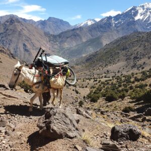 From Imlil Enduro Day Biking tour