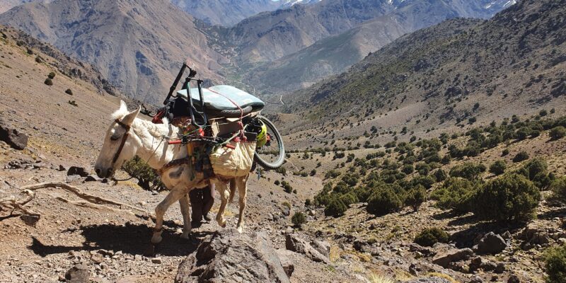 From Imlil Enduro Day Biking tour
