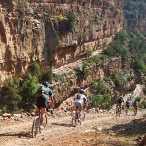 Ourika Valley Day bike tour