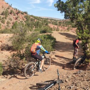 E-bike tour Asni to Amizmiz via Kik Plateau